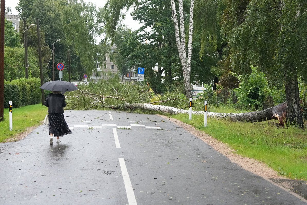 Pēc vētras vēl labo smagi bojātās elektrolīnijas