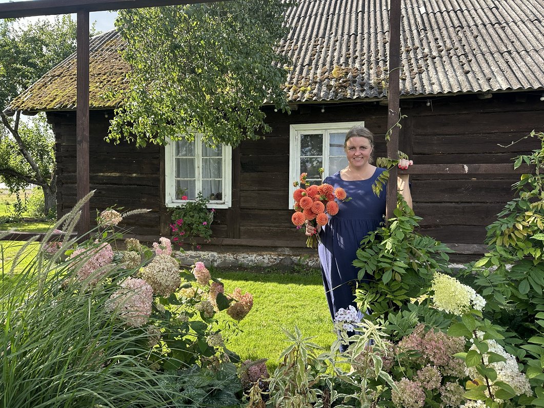 Ziedu audzētāji 1. septembrim gatavojas ar jauniem pušķiem