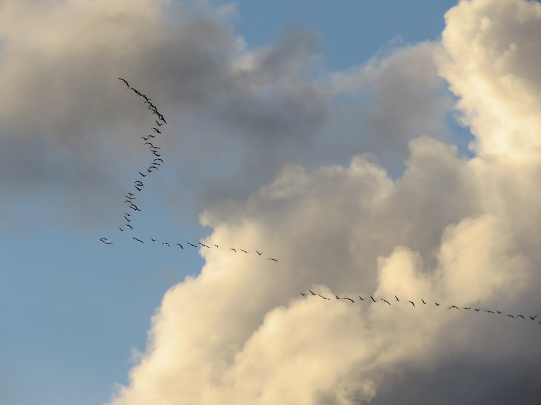Otrdien bieži uzspīdēs saule; Latgalē būs apmācies un līs