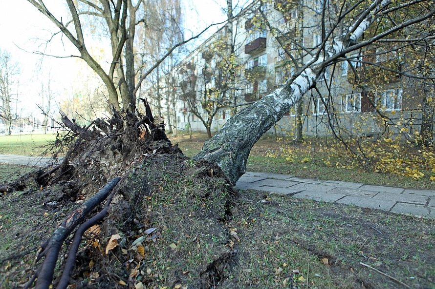 Piektdien gaidāmi spēcīgi vēji visā Latvijā
