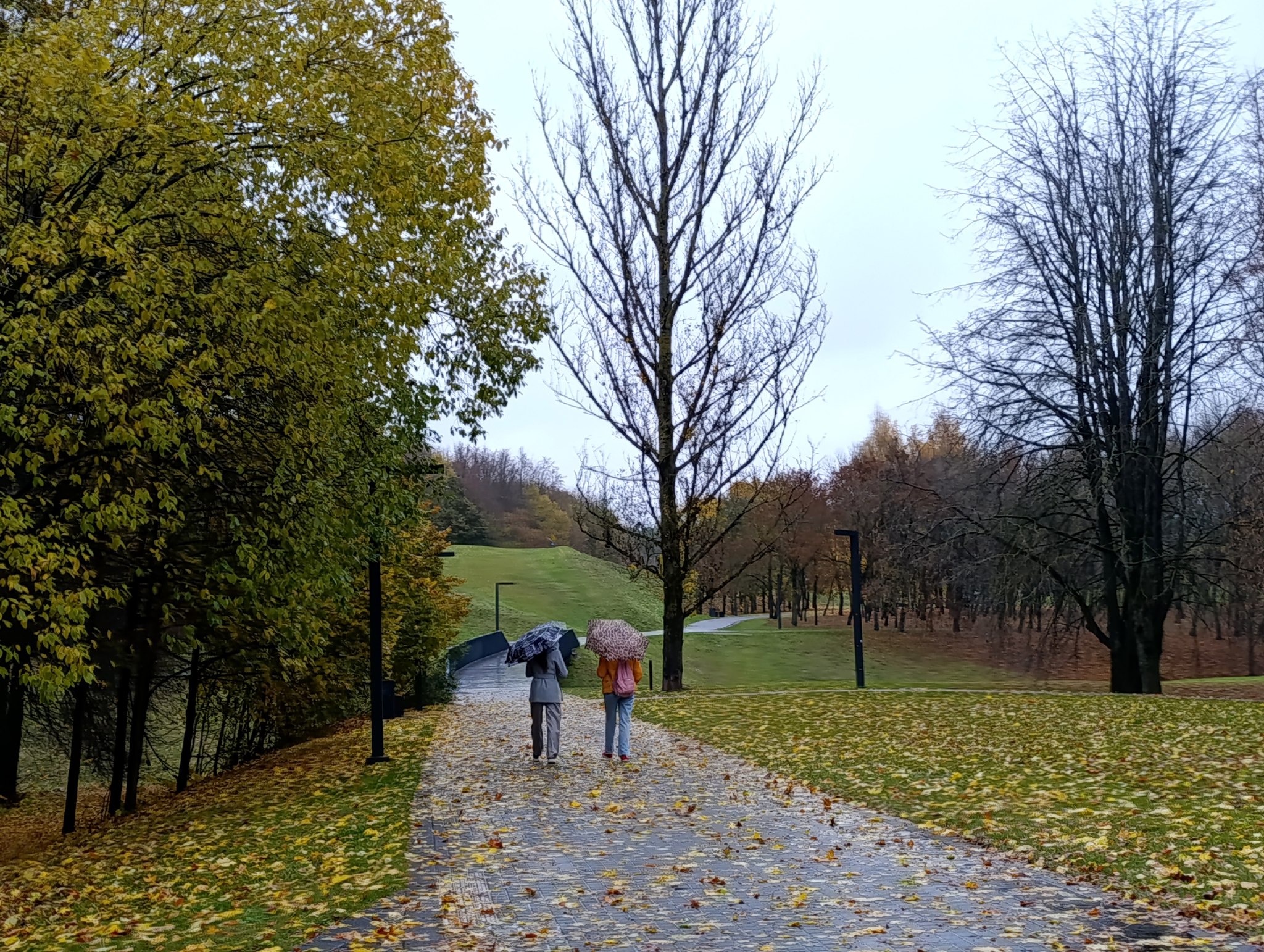 Pirmdien daudzviet Latvijā līs