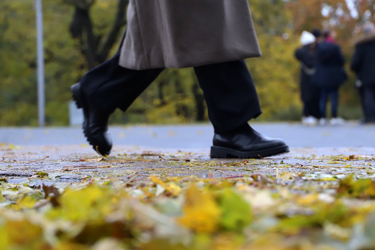 Pirmdiena būs lielākoties apmākusies, brīžiem līs